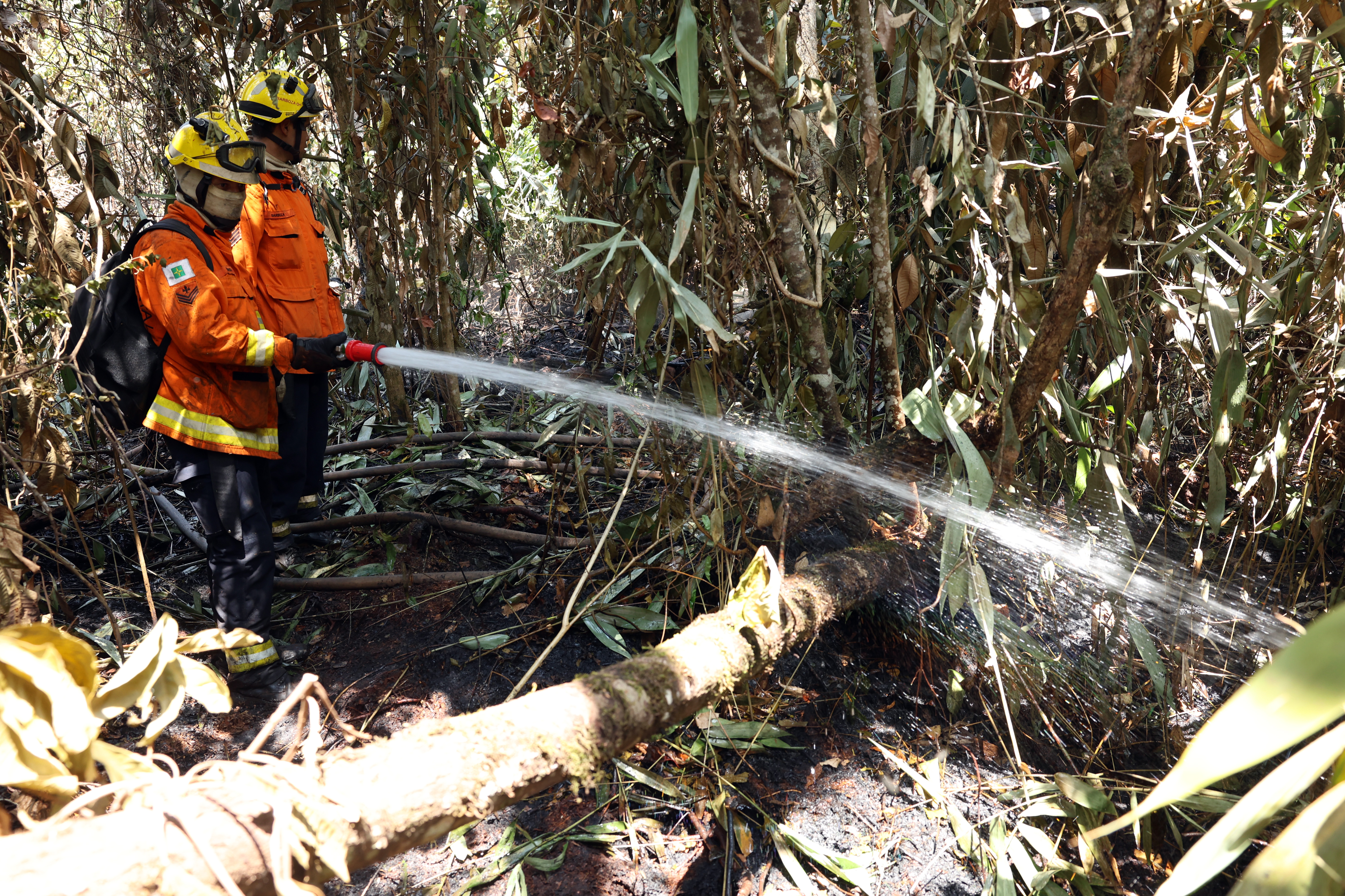 Queimadas no Amazonas sobem 271% e fumaça encobre Manaus